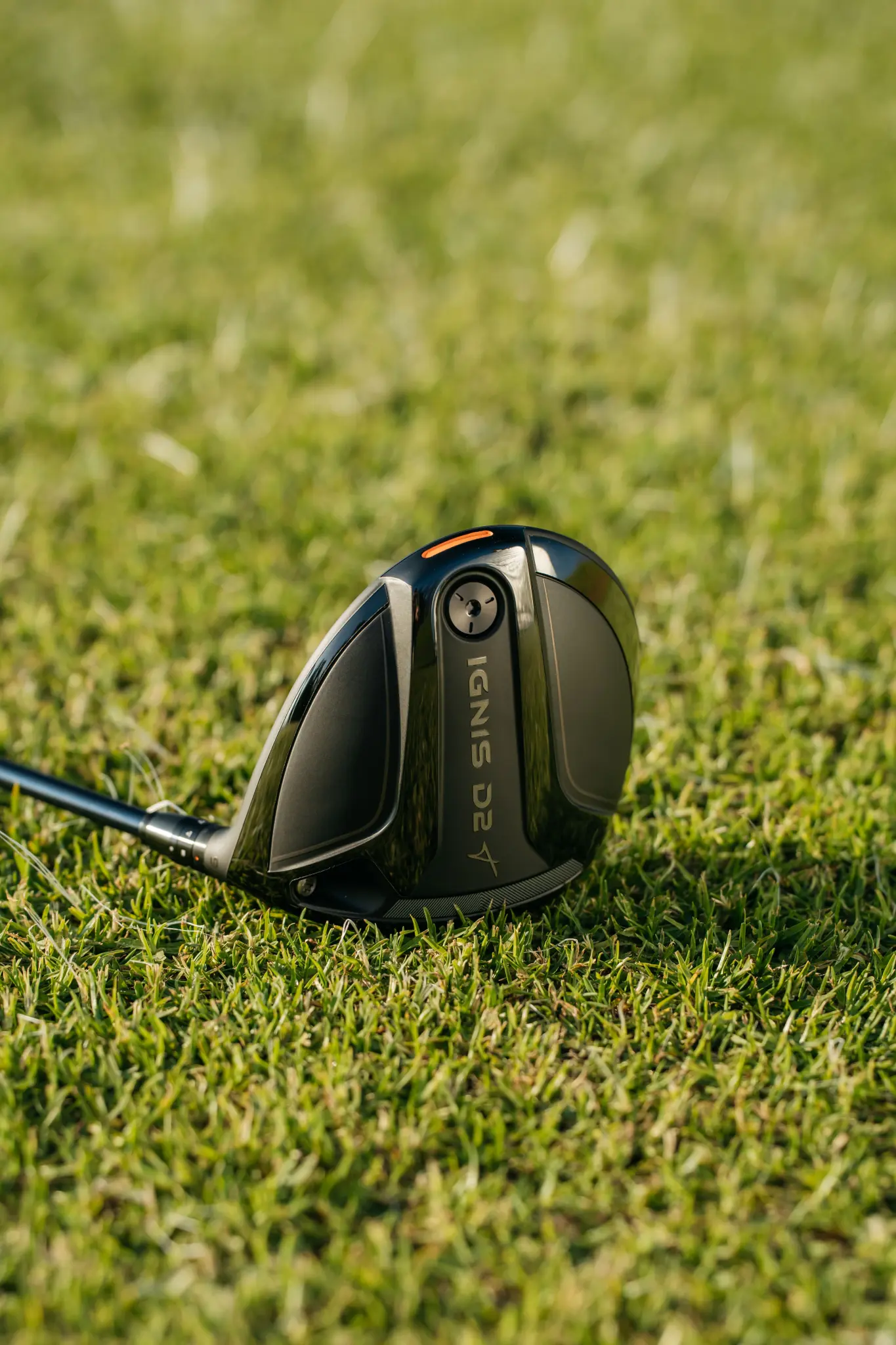 The All New IGNIS D2